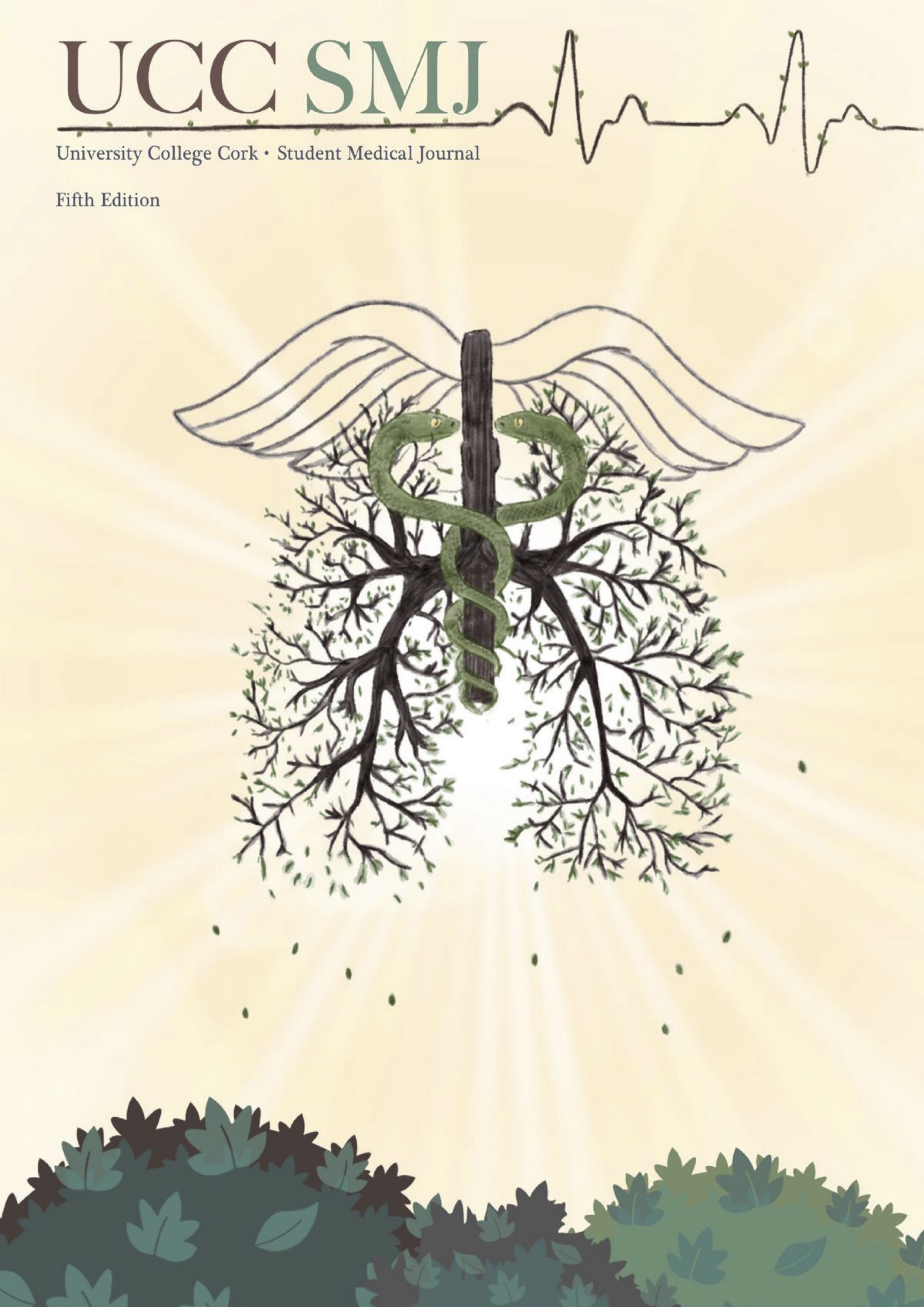 View Vol. 5 (2025): UCC Student Medical Journal